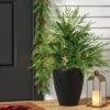 24" Pre-Lit Christmas Norfolk Cedar Artificial Greenery With Ground Stake - Wondershop™ 2 24" Pre-Lit Christmas Norfolk Cedar Artificial Greenery With Ground Stake - Wondershop™ -Northlight Shop GUEST 0524454d 42c0 4baa a1ff 1071bb7b5d74