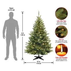 6' Unlit Kincaid Spruce Artificial Christmas Tree Clear Lights - National Tree Company -Northlight Shop GUEST 15db00e7 fec5 46ef 8f16 42d30df03d5b