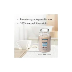 Original Large Jar Candle 22oz - Yankee Candle -Northlight Shop GUEST 18b05ccc 3f23 4eeb 9df6 0af9fcd9b2d9