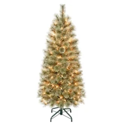 National Tree Company First Traditions Pre-Lit Slim Arcadia Cashmere Pine Hinged Artificial Christmas Tree Clear Lights -Northlight Shop GUEST 18e7d31d 3d72 4cba 9797 8e4190a8b201