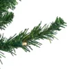 Northlight Pre-Lit Pencil Northern Balsam Fir Artificial Christmas Tree - 6' - Warm Clear LED Lights 2 Northlight Pre-Lit Pencil Northern Balsam Fir Artificial Christmas Tree - 6' - Warm Clear LED Lights -Northlight Shop GUEST 1d297d18 e51d 4ad4 8172 55700d06c93b