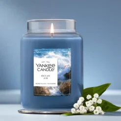 Original Large Jar Candle 22oz - Yankee Candle