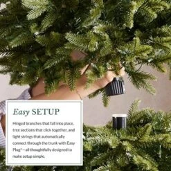 Balsam Hill 6.5' Color Clear LED Classic Blue Spruce Tree -Northlight Shop GUEST 23fab272 b6b3 4437 9727 aded7b98e8a8