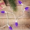 Northlight 25 Count Purple LED C9 Christmas Lights, 16 Ft White Wire 1 Northlight 25 Count Purple LED C9 Christmas Lights, 16 Ft White Wire -Northlight Shop GUEST 2851f8e9 952a 488a b3b2 03ce7a892079