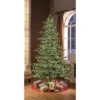 Puleo 6.5ft Pre-lit Artificial Christmas Tree Alaskan Fir: Hinged Branches, 500 Clear Lights, Indoor Use, Includes Stand -Northlight Shop GUEST 2fb8b0f6 7caf 4206 add7 6e6be54566ba