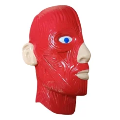 The Purple Cow The Human Body Advent Calendar: Educational Paper & Cardboard Winter Display 32 The Purple Cow The Human Body Advent Calendar: Educational Paper & Cardboard Winter Display -Northlight Shop GUEST 3a9cb3a9 6fd4 4ed9 a81a 54ce34fea468