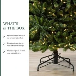 Balsam Hill 6.5' Color Clear LED Classic Blue Spruce Tree -Northlight Shop GUEST 3d5f5369 9f9a 4059 80c4 6639c6e40870