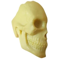 The Purple Cow The Human Body Advent Calendar: Educational Paper & Cardboard Winter Display 31 The Purple Cow The Human Body Advent Calendar: Educational Paper & Cardboard Winter Display -Northlight Shop GUEST 3de34185 760c 41da acb8 fc20c1eff802