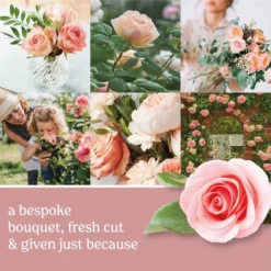 Original Large Jar Candle 22oz - Yankee Candle -Northlight Shop GUEST 44c490ef e859 4359 84d7 b2e514761195