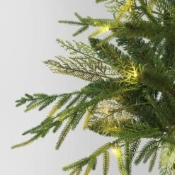 24" Pre-Lit Christmas Norfolk Cedar Artificial Greenery With Ground Stake - Wondershop™ -Northlight Shop GUEST 517b159a ab98 4251 ad4a 9a78c2d8852a