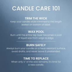 Original Large Jar Candle 22oz - Yankee Candle -Northlight Shop GUEST 54a00383 d78f 490b b687 7ecd9247f6e4