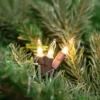 Northlight Mini Incandescent Christmas Lights - Clear - 4' Brown Wire - 20ct -Northlight Shop GUEST 5a06ba21 866f 4d2b 983b 0f152cb9f4c4