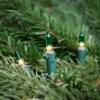 Northlight Mini Christmas Light Set - Clear With Green Tips - 20.25' Green Wire - 100ct -Northlight Shop GUEST 5ff04b9e ac13 4bd9 b066 324fc1e22331