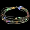 Northlight 20-Count Multi-color LED Micro Fairy Christmas Lights - 6ft, Copper Wire -Northlight Shop GUEST 73e76a58 4642 4cc2 9375 691a25029e0a
