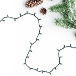 Northlight 10-Count Clear Mini Christmas Light Set - 3' Green Wire -Northlight Shop GUEST 9aa59aeb 086a 4a20 ad35 3c74fefb5eab