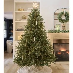 Balsam Hill 6.5' Color Clear LED Classic Blue Spruce Tree -Northlight Shop GUEST 9e371354 e116 4da6 8e00 a2f8f3b3ad37