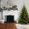 6' Unlit Kincaid Spruce Artificial Christmas Tree Clear Lights - National Tree Company -Northlight Shop GUEST a31b8672 c1a8 4f3a bd04 6987fe5c1144