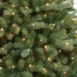 6.5ft Pre-lit Artificial Christmas Tree Davenport Fir -Northlight Shop GUEST ab315431 64d0 4c89 aea5 fb9cc97a1983