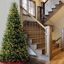 National Tree Company 10' Pre-lit Full Natural Fraser Fir Artificial Christmas Tree With Clear Lights -Northlight Shop GUEST bfa8369b f7ea 47c3 a784 8f2de707baea