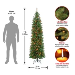 National Tree Company 7 Ft Artificial Pre-Lit Slim Christmas Tree, Green, Kingswood Fir, Multicolor Lights, Includes Stand 9 National Tree Company 7 Ft Artificial Pre-Lit Slim Christmas Tree, Green, Kingswood Fir, Multicolor Lights, Includes Stand -Northlight Shop GUEST c6d13328 d836 45b2 8627 5f2b82242427