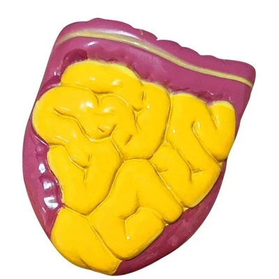 The Purple Cow The Human Body Advent Calendar: Educational Paper & Cardboard Winter Display 11 The Purple Cow The Human Body Advent Calendar: Educational Paper & Cardboard Winter Display - Image 9