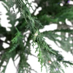 Northlight Pre-Lit Medium Weeping Cedar IPT Artificial Christmas Tree - 6.5' - Dual Color LED Lights -Northlight Shop GUEST d1c63646 f460 4a3a 8c6c 8fbb6bfcea87